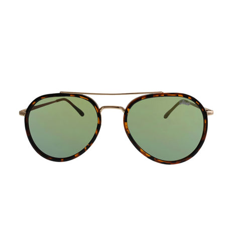 Jase New York Stark Sunglasses in Havana